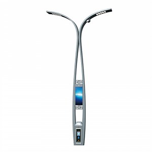 [Hot Item] Customized Ground Electric Intelligent Street Slolar Light Smart Pole