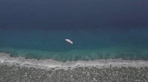 18 reactions | Scuba diving in Turks & Caicos Island, this April 2021. #exceptional Sharks, deep thrilling walls, ancient barrel sponges, and more! ⚓Liveaboard Turks & Caicos Explorer II  Aquaviemedia (Captain JF) #TurksCaicosIslands #TCI #DiveTravel #Liveaboard | Explorer Ventures | Facebook
