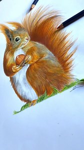 Nut your average art! 🐿️✍🏼 This red squirrel is 'cracking' us up with its adorable nutty charm. Artist: art.byellennn | Castle Arts