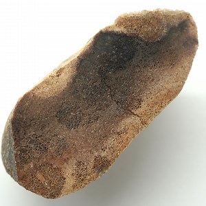 Fossilized Bone Specimen from California