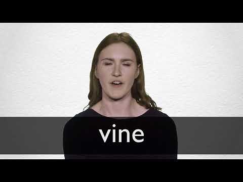 How to pronounce VINE in British English