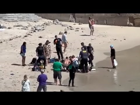 Shark attack at Florida beach leaves teenage girl seriously injured | ABC7