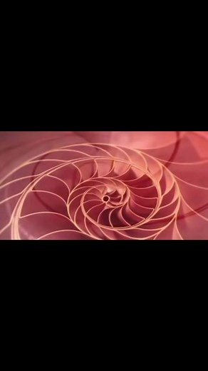 Cuando me pregunta ¿En qué piensas?#fuenteoriginal #origen #creacion #geometriasagrada #flordelavida #descubre #desconocido #vibracion #frecuencia #cosmos #dimensiones #teseracto @Oscar De Aguilera Oficial™ @Sylvia Lloret @IvanPeque🩷🍼✨Medina @El_Codice-Pacal_Oficial™ @Beka☄️ #creatorsearchinsights