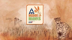 This year, our plates are filled with tradition, health, and...