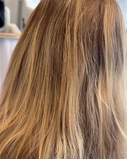 Lisa Amato on TikTok