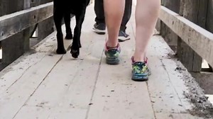 It’s almost the weekend! If you need us, we’ll be out exploring our incredible mountain playground. ⁣ ⁣ Our Whistler Experience Guides (and trusty sidekick, Alta), are so excited to be back, and ready to show you the local’s scoop on Whistler’s most scenic hiking trails, activities and more! 🐾🌲⁣ ⁣ #wearewhistler #adventurehere | Fairmont Chateau Whistler