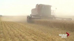 Saskatchewan farmer left in tough financial position due to decades old program