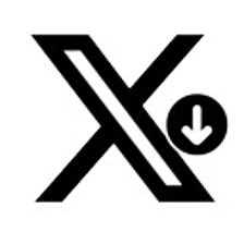 X (Twitter) Video Downloader - Download X.com Video And Photo