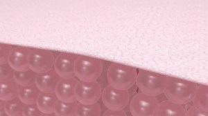 Cell Layers Before After Renovation Process Stock Footage Video (100% Royalty-free) 1106936237 | Shutterstock