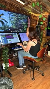 17K views · 158 reactions |  Pro Tools pug-in  Emma McGann ▶️ avid.co/oe5o50WF50a #pug #cuddle #dog #plugin #musicproduction #daw #avidprotools #protools #avid #avidcreator | Avid Pro Tools | Facebook