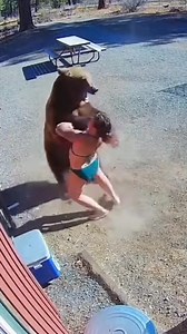 124K views · 262 reactions | Adorable brown bear plays with woman #bear #woman #capoeira | tankee.chill.tv | Facebook