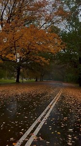 32K views · 1K reactions | Amsterdam✨癩 | Ｆｕｓｔｉｃ | Facebook