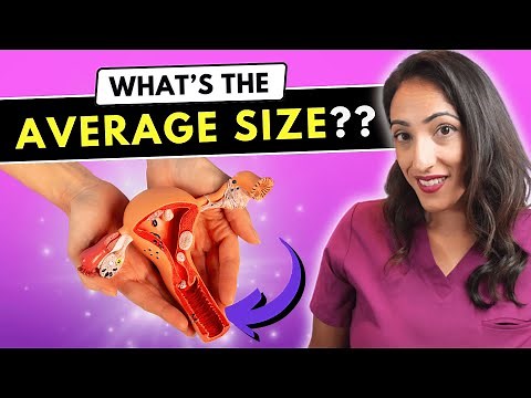 How Deep is the Vagina? Urologist Explains Average Vaginal Size (not as big as you think!)