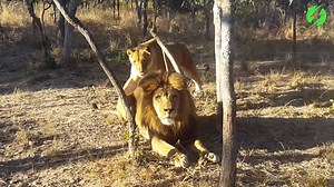 Here are the funniest scare pranks to get you in the mood for #Halloween...😱🎃 | Storytrender