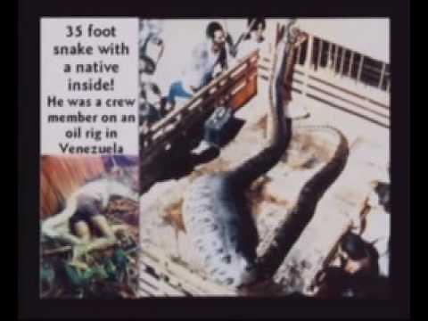 DINOSAURS still exist today Kent Hovind