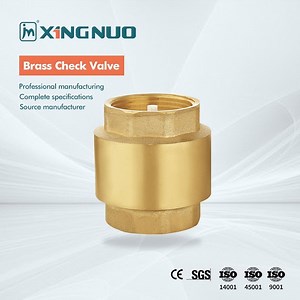 [Hot Item] Durable Industrial Custom Brass Check Valve for Water Supply