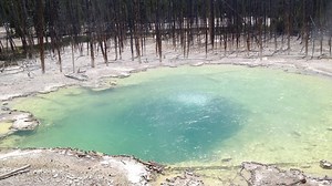 Man believed to have died in Yellowstone hot spring