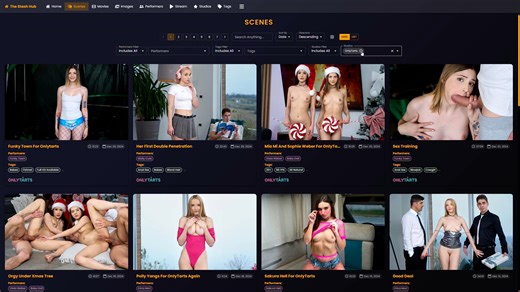The Stash Hub UI Overview