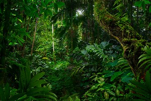 New 'Tarzan' movement has people going 'apes--t'