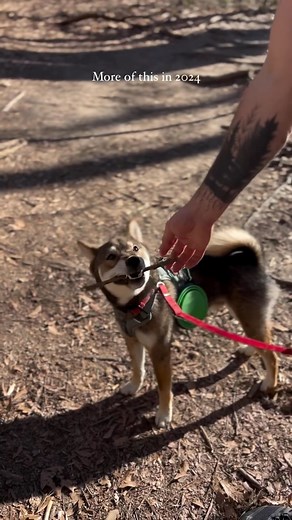 @humbleandhygge_ has the right idea for 2024! Get outside, take in that sunshine, and prioritize your health 🏋️ The East Palisades Indian Trail is the perfect hiking trail to start your health journey with! Check out the beautiful views of the Chattahoochee River and a bamboo forest 🐼 as a reward for you efforts 😃 #VisitSandySprings 📸: @humbleandhygge_ | Visit Sandy Springs
