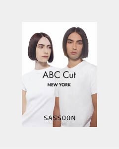 1.2K views · 14 reactions | ABC CUT 2 DAY – NEW YORK: MASTER...