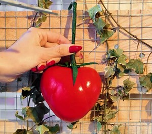 69K views · 176 reactions | Plant Care Hacks That Will Blow Your Mind! | Parentips | Facebook