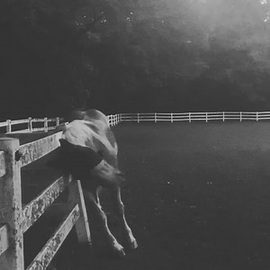 6.7K views · 279 reactions | Happy Solstice from my happy place♥️ #cancerseason | Storm Large | Facebook