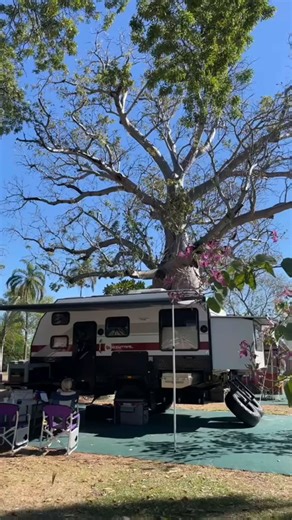 “Oh the precious precious memories we have made in our van, family, camp concerts, cousins, adventures, bumpy ass roads, many champagnes, red dirt, remote locations & time with the three most important people in my life!” What a treasure trove of priceless memories and extraordinary caravanning adventures you've had @chelswheelertravel! ✨ | Caravan & Camping WA | Facebook