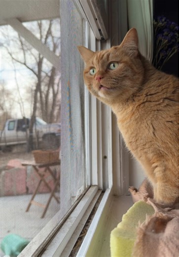 imogenandcharlotte on TikTok