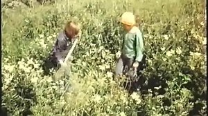 Оставьте нас одних / La' Os Vaere / Leave Us Alone (1975) Дания Клуб.Фильмы про мальчишек.Films abou...