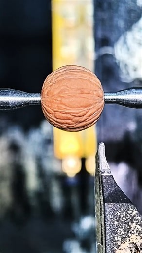 Smoothing A Walnut Shell | Cute Emergency