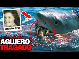 El Ataque De Tiburón Más Brutal De La Historia