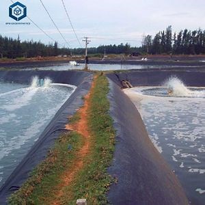 [Hot Item] Round Preformed Geomembrane Pond Liners for Sea Water Shrimp Pond in Africa