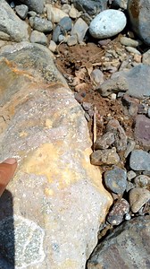 Ngebolang dulu sungay .amajon yang indah #fyp | Irma Nurhayati