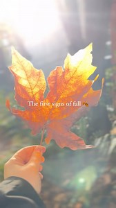 Who else is ready for sweater weather? 🙋 | University of Victoria