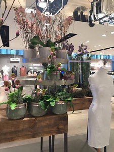 1.3K views · 61 reactions | Flower Power im grossen Stil: In der PKZ WOMEN Filiale Zürich blühen diese Woche nicht nur stylische Blütenprints auf der Kleidung, sondern auch die wunderschönen Blumenarrangements zum Kaufen von Fleurop-Interflora Schweiz. Komm vorbei und shop ein Stückchen Frühling. | PKZ | Facebook