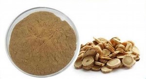 [Hot Item] Astragalus Extract Powder with Polysaccharides