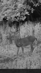 2.7K views · 35 reactions | Rack Rub is bringing him in, once again 歷  (garrett_chasinthedreamtv/IG) | Code Blue Scents | Facebook