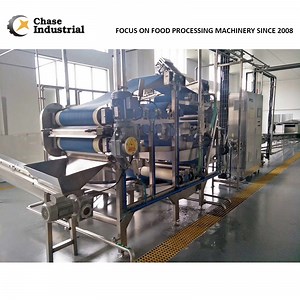 [Hot Item] Industrial Pineapple Pulp Production Processing Line