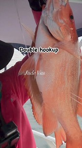 Double hookup using Rig Mate pre-tied dropper loop rigs Rig Mate #kafishon #trendingvideo #trendingreels #trendingnow #viralpost #viralvideo #fypシ゚ #reelsviral @highlight | Jude Vas
