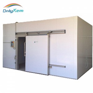[Hot Item] Professional Walk-in Cooler & Freezer Room -Custom Cold Storage Solution