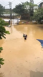 155K views · 1.4K reactions | Gặp nhau rồi thật khó lìa xa 藍 | 60giay.com | Facebook