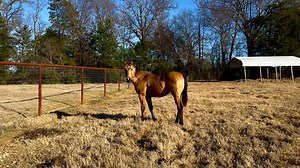 Courtney Paul on Reels