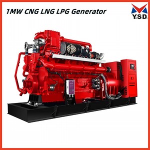 [Hot Item] 400V 50Hz 1000kw 1250kVA Electrical Generator Biogas Generator for Sale Silent Container Generador Electrico