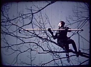 This historic film, produced in 1948, served as a recruiting and training film for The Davey Tree Expert Company. The film tells the story of a hypothetical Davey Tree employee on his journey from having an interest in tree care to becoming a well-trained Davey arborist, or "tree surgeon." #DaveyHistory | The Davey Tree Expert Company