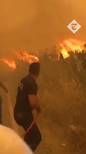 🔴 Forest fires have broken out in Turkey as a deadly heatwave continues in Europe. Read more here ⬇️ https://www.telegraph.co.uk/world-news/2025/06/29/pensioners-shelter-heatwave-museums-pools-italy/ | The Telegraph