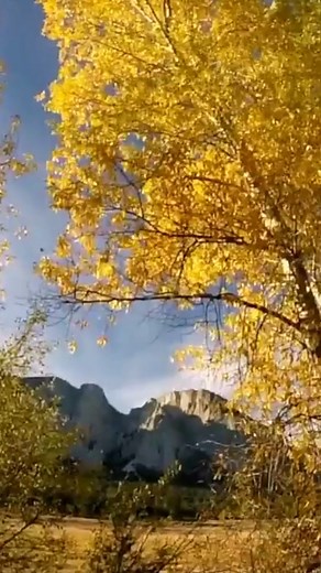 1.9K views · 43 reactions | Leaf Peeping season is just around the corner! Are you ready? Video Credit: Mount Princeton Hot Springs Resort #HotSpringsLoop #ColoradoLive #Colorado #VisitColorado #MtPrinceton *** #WellnessTravel #ColoradoTrip #SoakResponsibly #LoveTheLoop #MountPrinceton #NowThisIsColorado #ColoradoHotSpringsLoop #salidaco #salida #salidacolorado #bvco #buenavistacolorado | Colorado Hot Springs Loop | Facebook