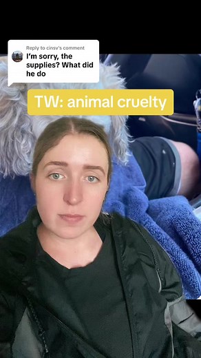 Exploring the Concerning Behavior of Kirby towards Animals