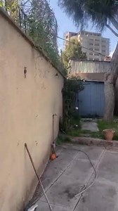 የት እንደሚያገኙት ሲያስቡ በየታለ (Yet’Ale) ላይ ፍለጋዎን ይጀምሩ:: ፈጣን ነው ፤ ቀላል ነው ፤ ሁሉን አቀፍ ነው። https://play.google.com/store/apps/details?id=com.inmp.yetale ሻጩን በ +251 90 827 2662 ላይ ማግኘት ይችላሉ። በኢትዮጵያ (#Ethiopia) ብቻ። | AddisCooks | Facebook