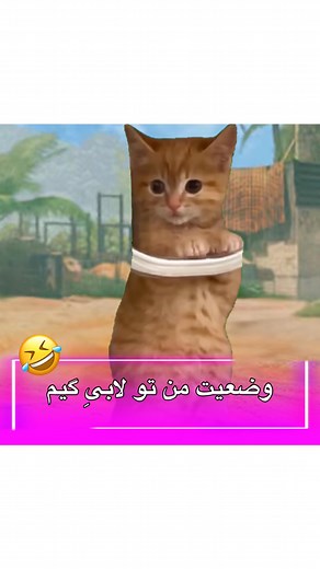 ‎Gisoo | گیسو‎ | ‎و همچنان یک ساعته که منتظرم 😐🤣🥹 بفرست براش 🥹🩷‎ | Instagram